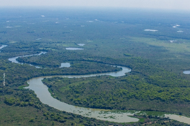 Pantanal mato-grossense 