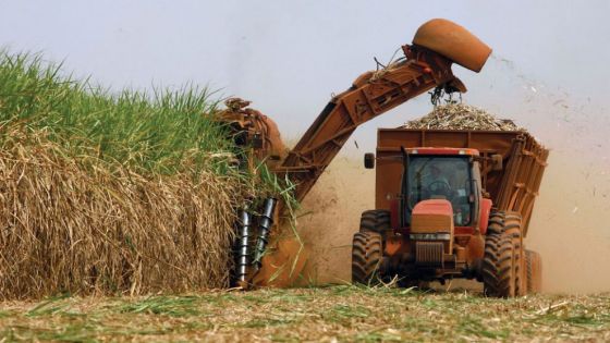 Agronotícias