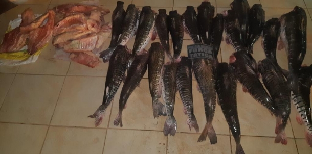 peixe