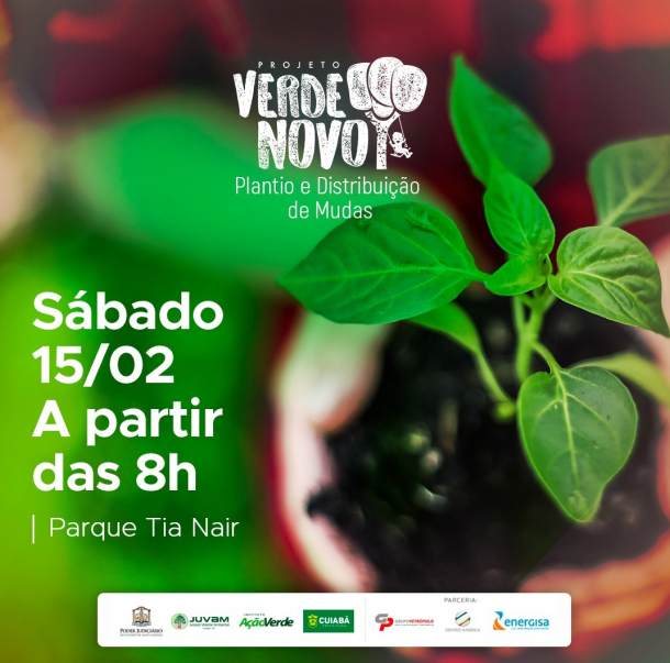 VERDE NOVO