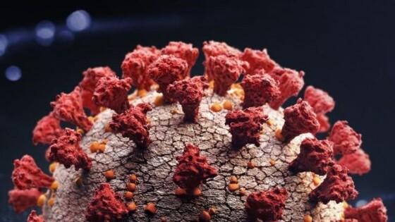 VIRUS