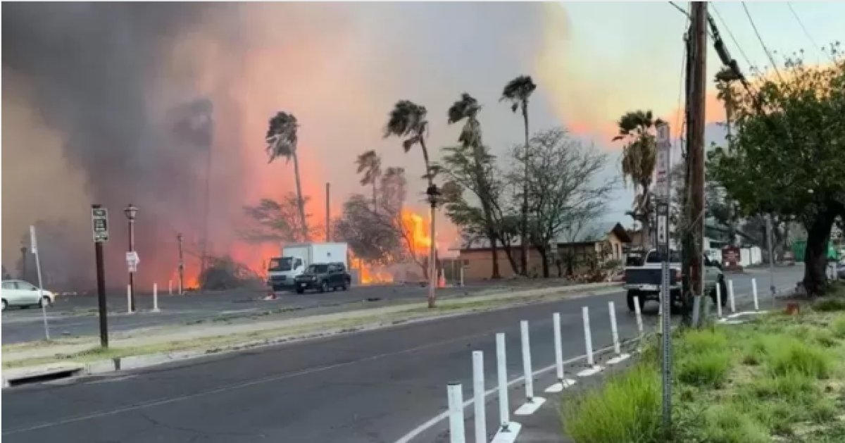 Condado de ilha devastada no Havaí processa empresa pelo incêndio