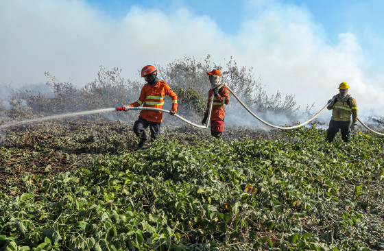 Combate à incêndios no Pantanal-111.jpg