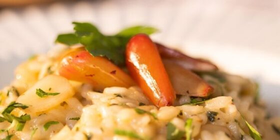 1_risoto-de-pinhao-730x365.jpg