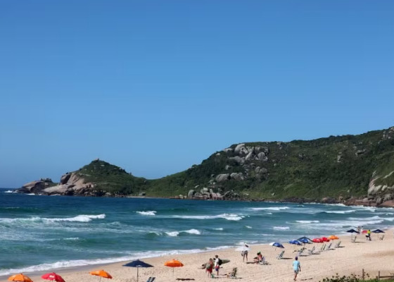 Captura de tela 2024-12-01 090339.png