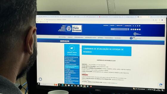 campanha estoque final.jpeg