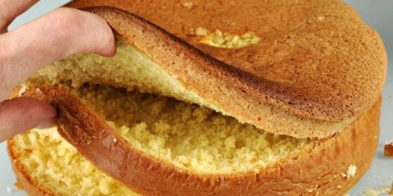 pao-de-lo-para-rechear-730x365.jpg