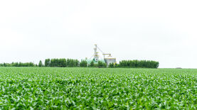 Mateus Dias/Aprosoja MT