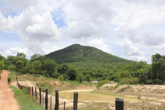 Morro capa ok.jpg