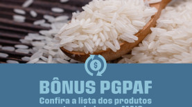 Conab