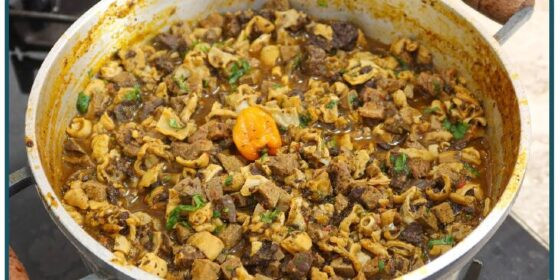 sarapatel-nordestino-730x365.jpg