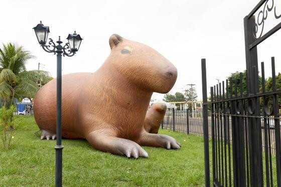 capivara.jpg