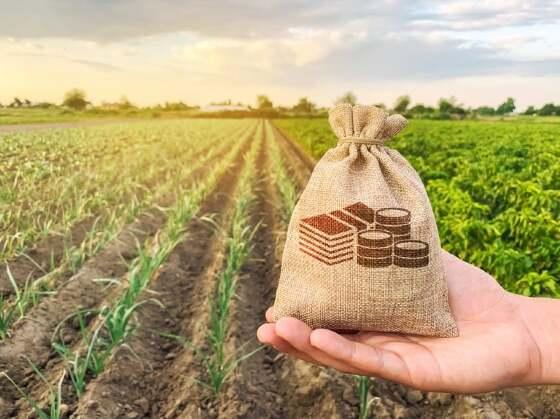 credito-rural-ministério-da-agricultura.jpeg