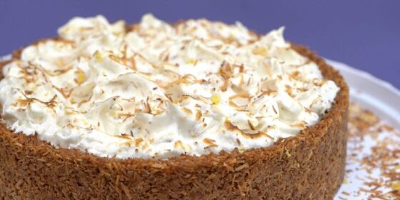 torta-de-leite-condensado-com-coco-queimado-730x365.jpg