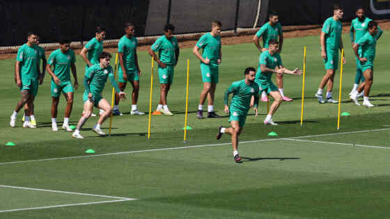 Treino-Palmeiras-5.jpg