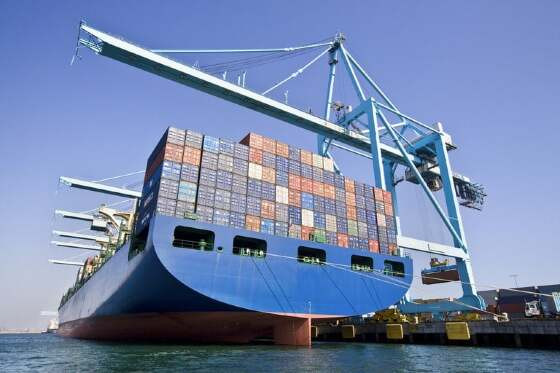 exportaacoes-julho-2025.jpeg