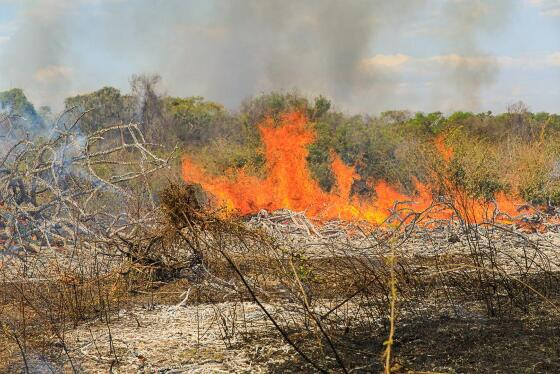 incendio_MEV_-2950.jpg