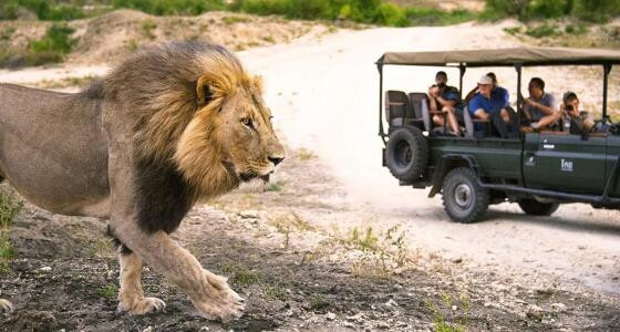 Parque Nacional Kruger.jpg