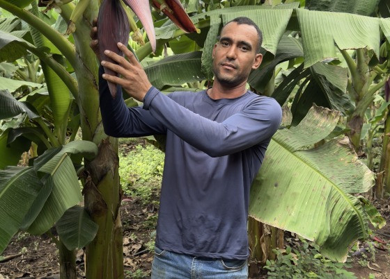 Floresta_agricultor (1).jpg