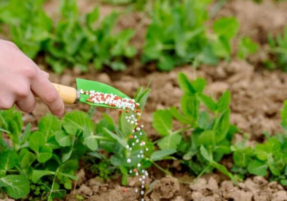 Fertilizantes mais caros reforçam importância de combater a compactação do solo