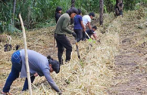 WhatsApp Image 2025-10-31 at 18.00.30.jpeg