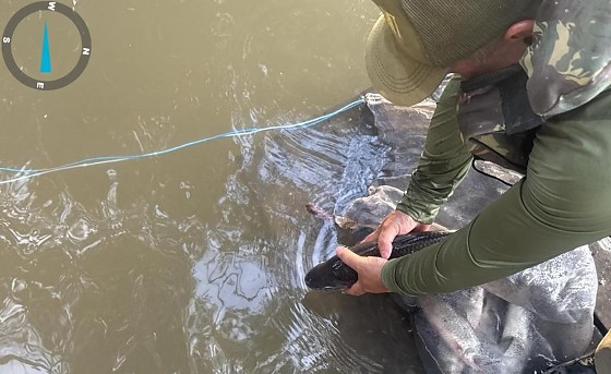 balanço piracema.jpg