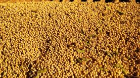 Foto: Leonardo Gottems