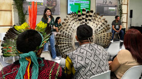 Isabela Mercuri/DPEMT