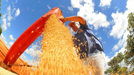 Prefeitura de Campo Grande/Divulgação