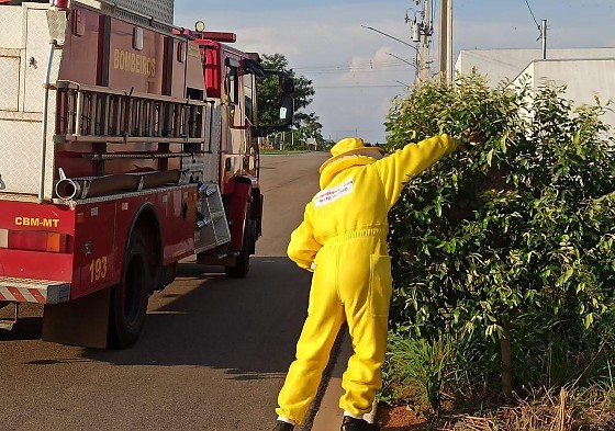 WhatsApp Image 2025-11-21 at 16.05.02 (2).jpeg