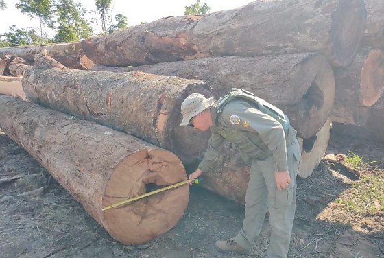 WhatsApp Image 2025-11-24 at 11.06.08.jpg