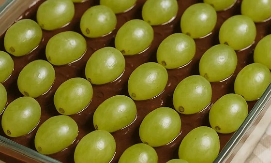 Captura de tela 2025-12-03 094500.png