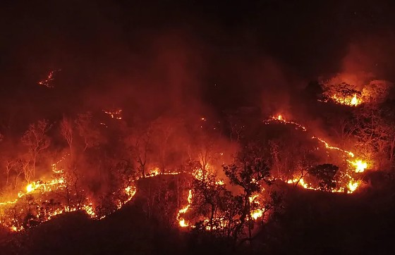 Captura de tela 2025-12-04 085813.png