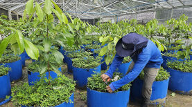 Foto: Maria José Tupinambá