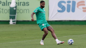 Foto: Cesar Greco/Palmeiras