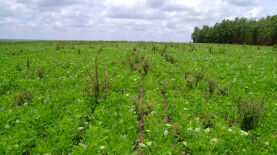 Foto: Fernando Adegas