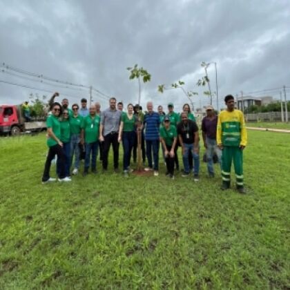 Michelly Alencar realiza plantio de 260 mudas de ipês na rodovia Helder Cândia