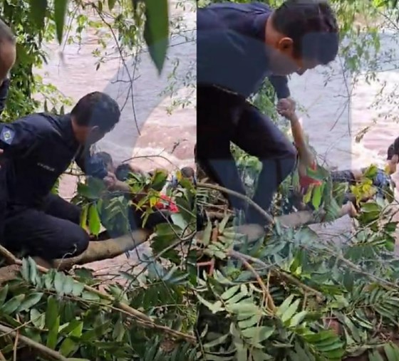 Captura de tela 2025-12-28 100534.png