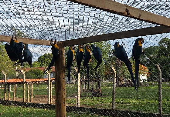 WhatsApp Image 2025-12-22 at 11.55.54.jpg