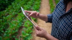 Foto: Expodireto Cotrijal