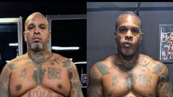 Captura de tela 2026-01-08 101536.png