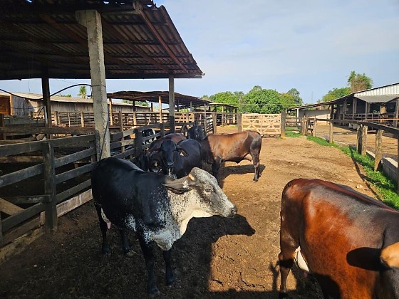 WhatsApp Image 2026-01-05 at 09.29.45.jpeg