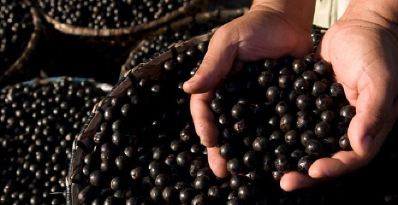 Captura de tela 2026-01-13 153208.png