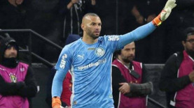 Cesar Greco/Palmeiras