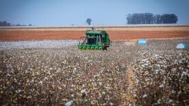 Michel Alvim - Secom/MT