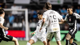 Raul Baretta/ Santos FC