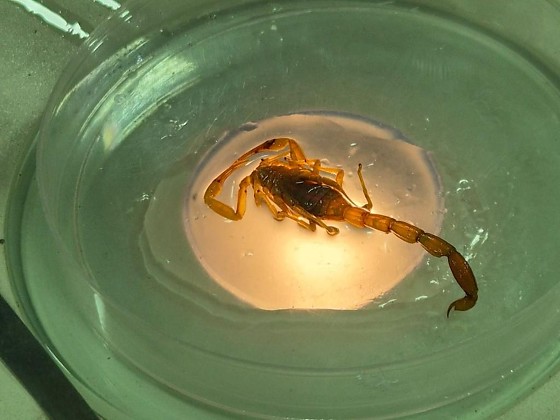 WhatsApp Image 2026-01-16 at 10.07.06 - horizontal.jpg