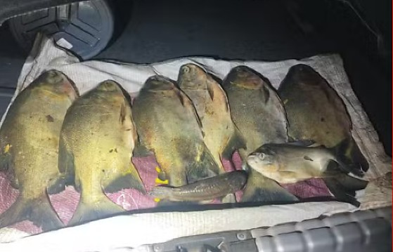 Captura de tela 2026-01-25 112838.png