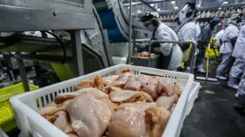 Foto: Jonathan Campos