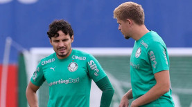 Cesar Greco/Palmeiras